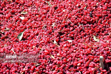 روزهای سرخ خراسان جنوبی