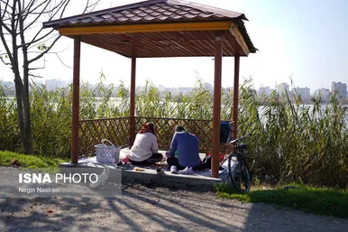 گزارش تصویری | وقتی تالاب‌ می‌میرد...