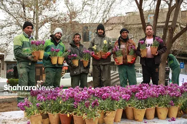 گل‌آرایی و شهرتکانی مشهد در نوروز ۱۴۰۱