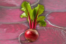 درباره لبو که خواص بی شمارش از  آن داروخانه&zwnj;ای سیار ساخته است | این قرمز پرخاصیت