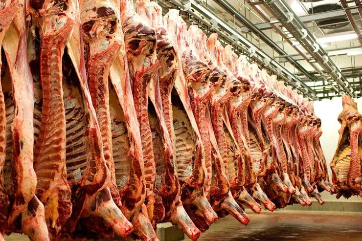 عرضه گوشت گرم گوسفندی وارداتی در فروشگاه‌های 