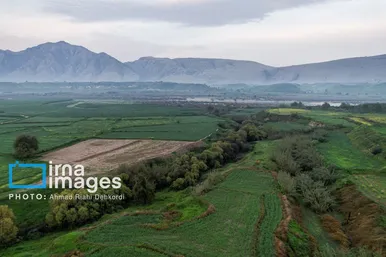ایران زیباست | دشت «سوسن» خوزستان