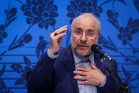 رئیس مجلس: بدون شفافیت به کارآمدی نمی&zwnj;رسیم