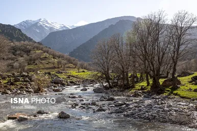ایران زیباست | مخمل کوه در گستره زاگرس - لرستان