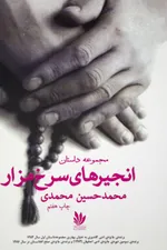 نویسنده کتاب انجیرهای سرخ مزار: برای من «دلیل مهاجرت» مهم‌تر از خود «مهاجرت» بوده است