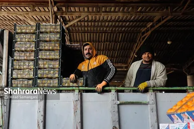 گزارش تصویری | بازدید رئیس کمیسیون اصل ۹۰ از میدان‌بار سپاد مشهد (۲۴ بهمن ۱۴۰۳)
