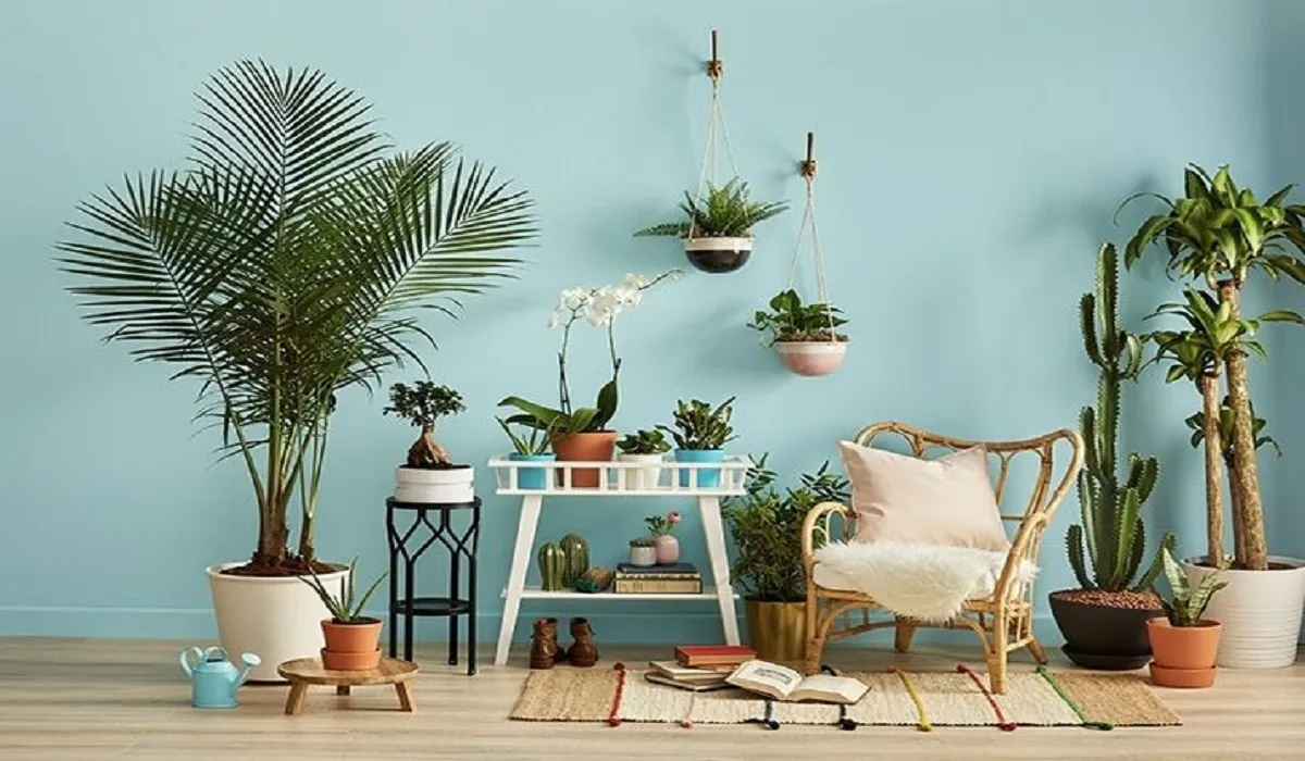 چگونه با سبزتر کردن منازل، طول عمرمان را افزایش دهیم؟