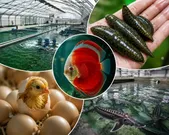 مجموعه‌ای که نامش با اشتغال و کارآفرینی گره خورده است