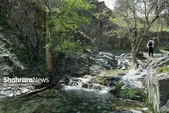 رکوردشکنی گردشگری خراسان رضوی؛ ۱۹ میلیون زائر و توریست داخلی تا مهرماه ۱۴۰۴ | لزوم تسهیل ورود گردشگران خارجی