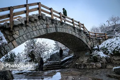 بارش اولین برف پاییزی در مشهدمقدس