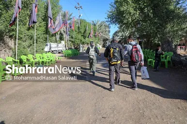 در مسیر کربلا
