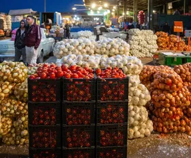 قیمت امروز انواع میوه و صیفی جات در مشهد (یکم آبان ۱۴۰۳) | سیب زمینی و پیاز را بیشتر از این قیمت&zwnj;ها نخرید