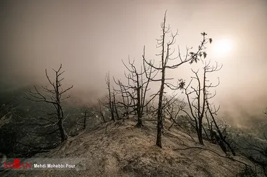 آتش سوزی منطقه حفاظت شده جهان نمای  گلستان