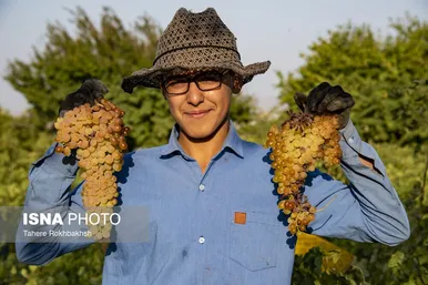 به مناسبت روز جهانی کار و کارگر