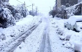 بارش برف و باران در گناباد و بجستان (۱۳ بهمن ماه۱۴۰۲)