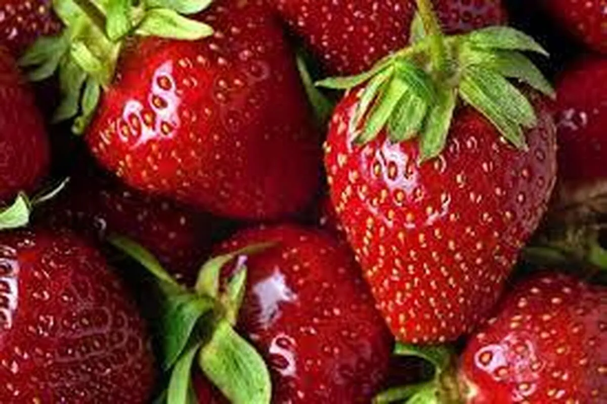 حساسیت به توت فرنگی چه علائمی دارد؟