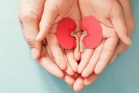 اینفوگرافی| چگونه کلیه&zwnj;ها را پاکسازی کنیم؟
