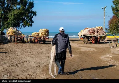 صید ماهی استخوانی - مازندران
