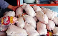 ۳۰ درصد هدف صادرات مرغ محقق شده است