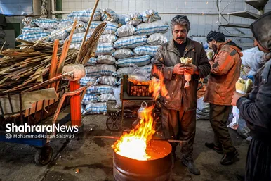 خسارت شدید سرما به بازار میوه و تره بار مشهد