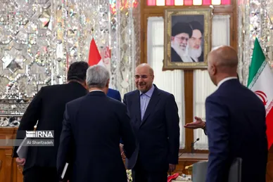 عکس‌هایی از دیدارهای رئیس مجلس با میهمانان خارجی مراسم تحلیف