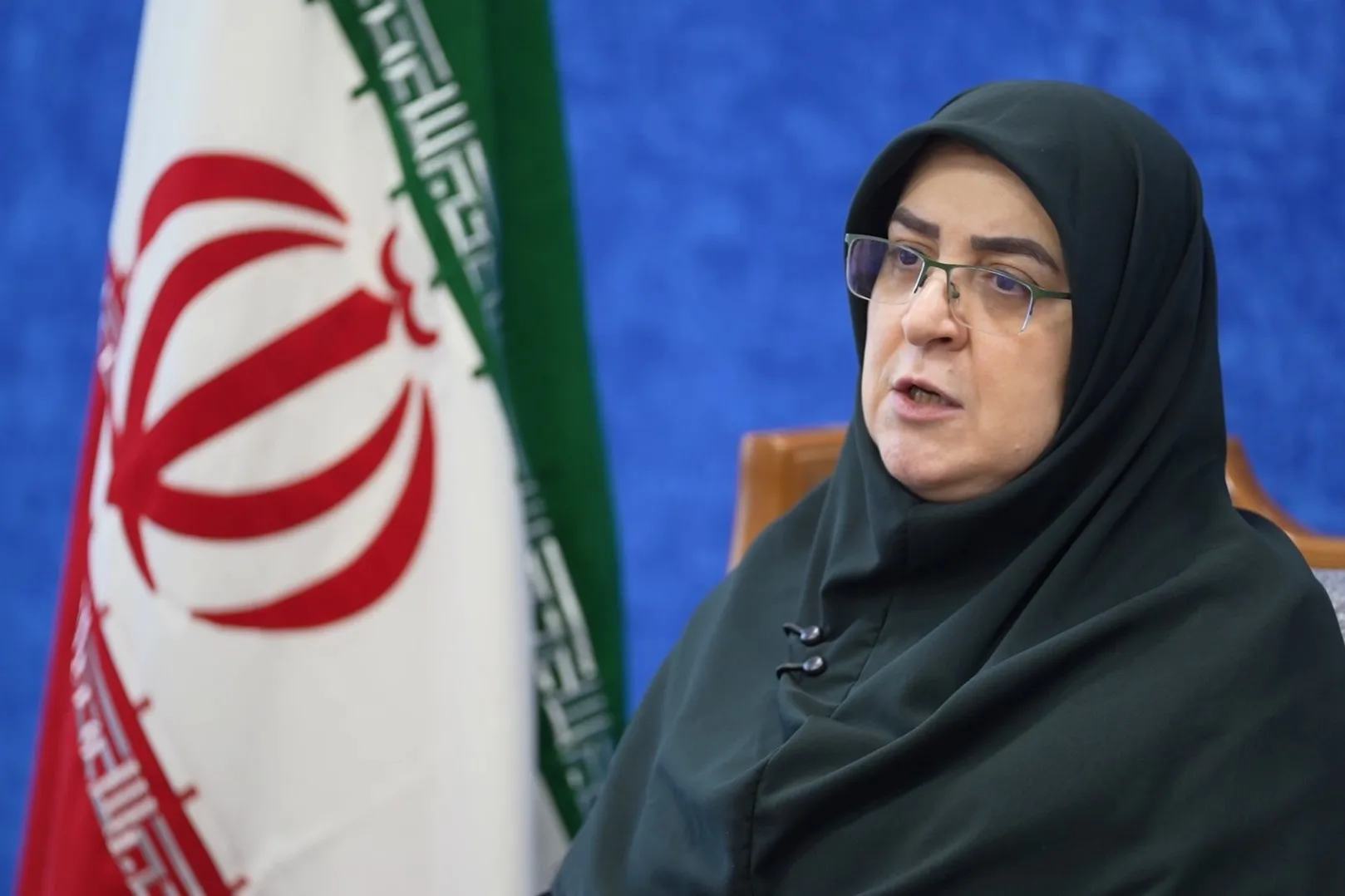 سخنگوی دولت