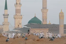 کاهش محسوس دمای هوا در مدینه منوره و  توصیه به زائران عمره برای همراه داشتن لباس گرم