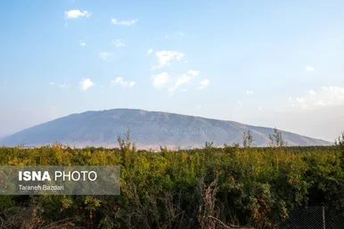 ایران زیباست | برداشت انار در لرستان
