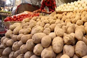 کاهش قیمت سیب زمینی و پیاز (۳۱ خرداد ۱۴۰۴)