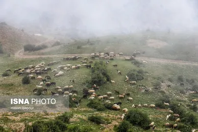 ایران زیباست | روستای «اِسپِرِز» سوادکوه بر فراز ابر‌ها