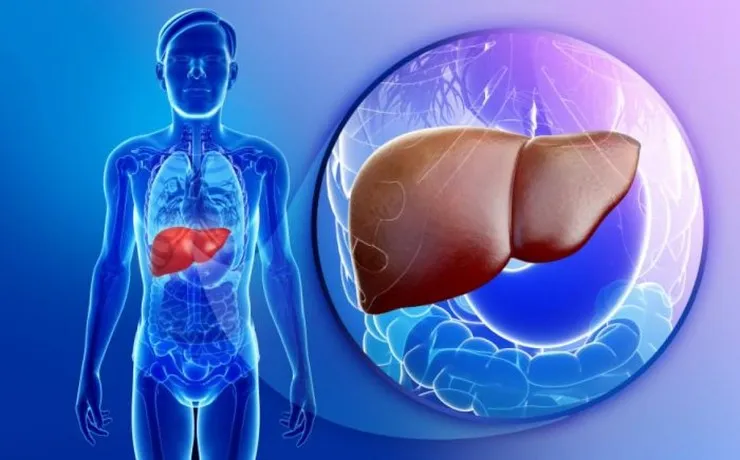 از بیماری کبدچرب چه می‌دانید؟ | توصیه هایی برای پیشگیری