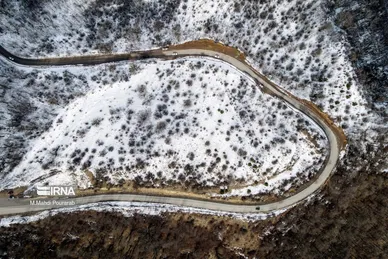 گلستان در زمستان
