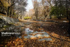 عکس&zwnj;هایی از طبیعت پاییزی بوستان وکیل آباد مشهد