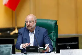 رئیس مجلس شورای اسلامی: مجلس اگر حرفی می&zwnj;زند باید پشت آن اقدامی باشد