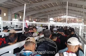 ویدئو| تردد روان و بی وقفه زائران اربعین حسینی در پایانه مرزی مهران (۱۳ مرداد ۱۴۰۴)