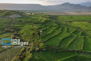 ایران زیباست | دشت «سوسن» خوزستان