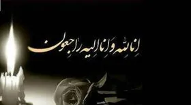 حجت الاسلام مجتبی بروجردی درگذشت (۲۳ دی ۱۴۰۴)