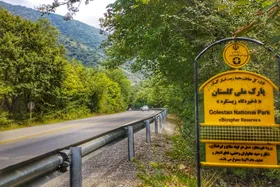 ویدئو | طبیعت زیبای پارک ملی گلستان