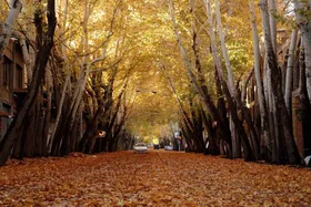 ویدئو| پاییز زیبا خوانسار