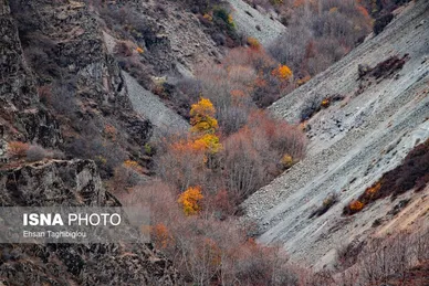 ایران زیباست | پاییز هزار رنگ در روستای «شیت»