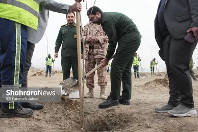 گزارش تصویری | پویش سراسری درختکاری در محله اسماعیل آباد