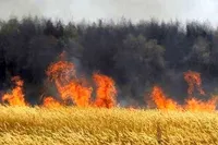 نزاع و درگیری زوج جوان ۱۰ هکتار مزرعه را به آتش کشید