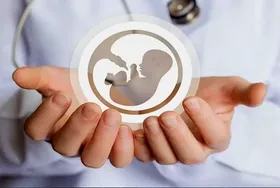 &laquo;لایحه اهدای تخمک&raquo; ابلاغ می&zwnj;شود