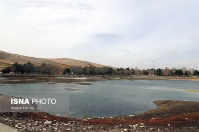 گزارش تصویری | کم آبی «سراب نیلوفر» همچنان ادامه دارد
