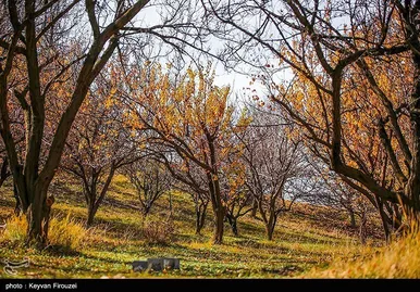 ایران زیباست | پاییز رنگارنگ کردستان