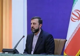 مشاور عراقچی به خبرسازی گروهک منافقین درباره غریب&zwnj;آبادی واکنش نشان داد