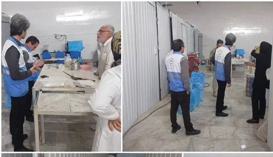 مواد غذایی فاسد