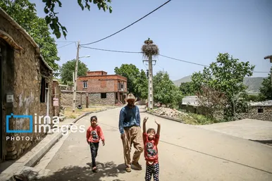 «خداوند لک‌لک‌ها را دوست دارد»