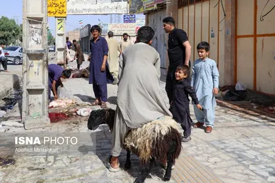 گزارش تصویری | عید قربان در زاهدان