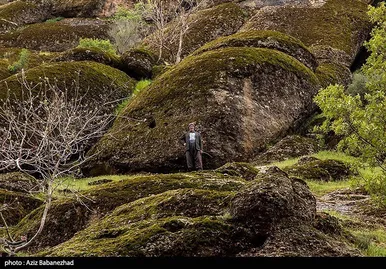 ایران زیباست | طبییعت بهاری منطقه کوهستانی هفت حوض - خرم آباد